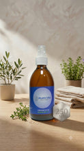 Cargar imagen en el visor de la galería, PLATA VIVA 250ML SPRAY
